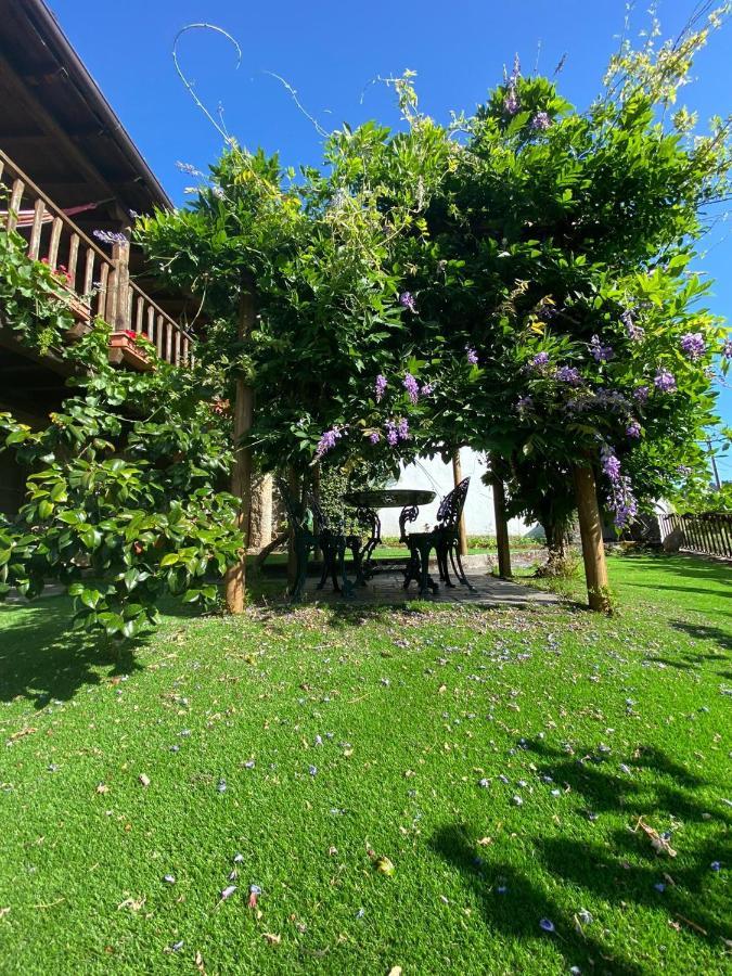 Casa Do Pomar Guest House Braganca Exterior photo